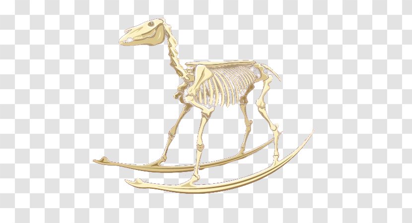 Giraffe Skeleton Horse Animal Bone - Bones Transparent PNG