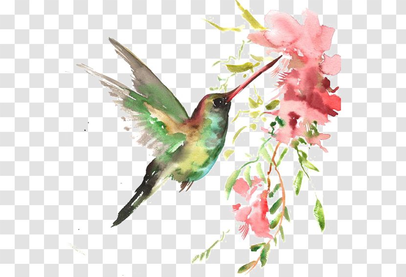 Watercolor Bird - Pollinator - Printmaking Transparent PNG