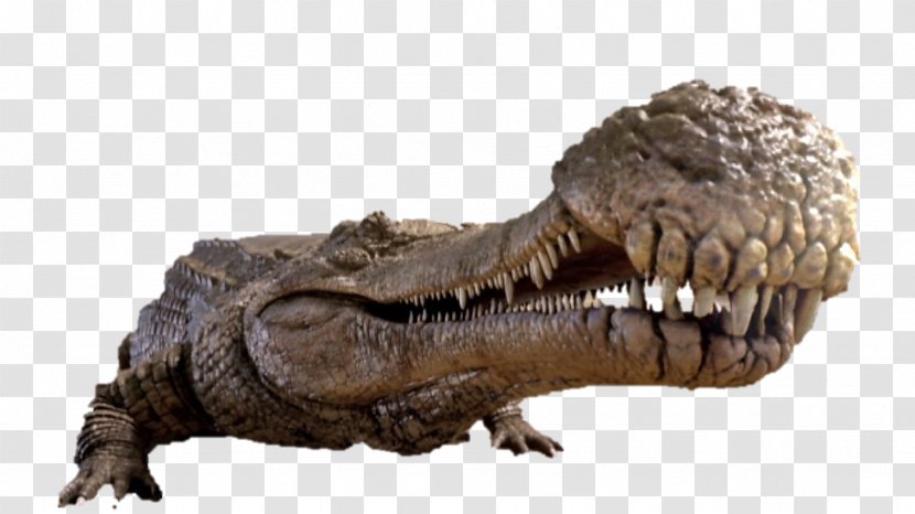 Sarcosuchus Crocodiles Velociraptor Tyrannosaurus - Dungeons And Dragons Transparent PNG