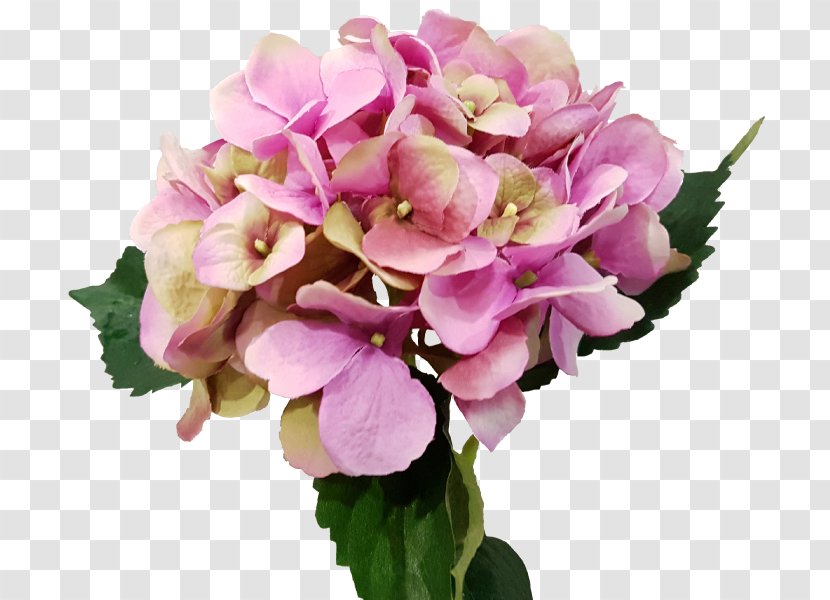 Hydrangea Floral Design Cut Flowers Flower Bouquet - Artificial Mala Transparent PNG