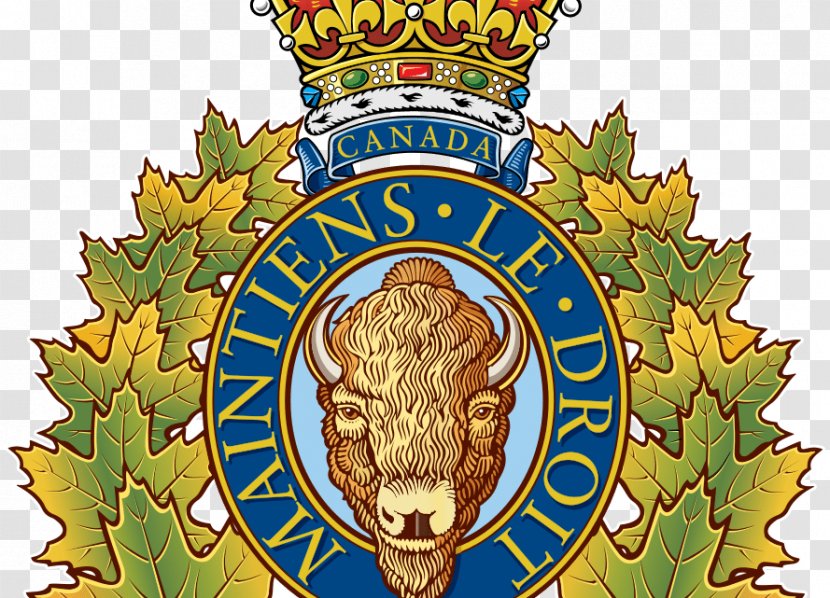 Royal Canadian Mounted Police (RCMP) Burnaby RCMP Arrest Transparent PNG