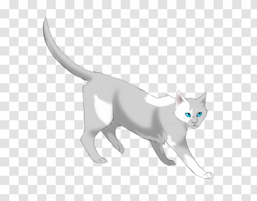 Kitten Whiskers Cat Breezepelt Paw - Dog Like Mammal Transparent PNG