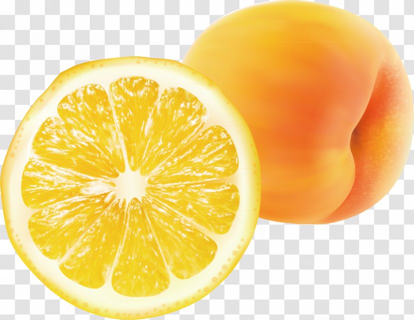 Juice Mandarin Orange Lemon Citrus Xd7 Sinensis - Material Picture Transparent PNG