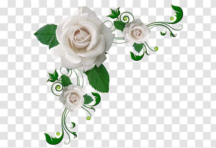 Flower Rose Clip Art - Flowering Plant - In-page Transparent PNG