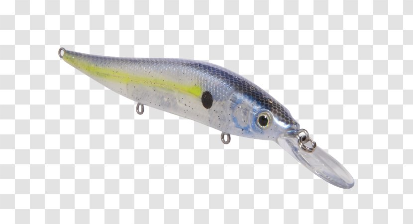 Plug Fishing Baits & Lures Bass Worms Spoon Lure Popper - Common Roach - Northern Pike Transparent PNG