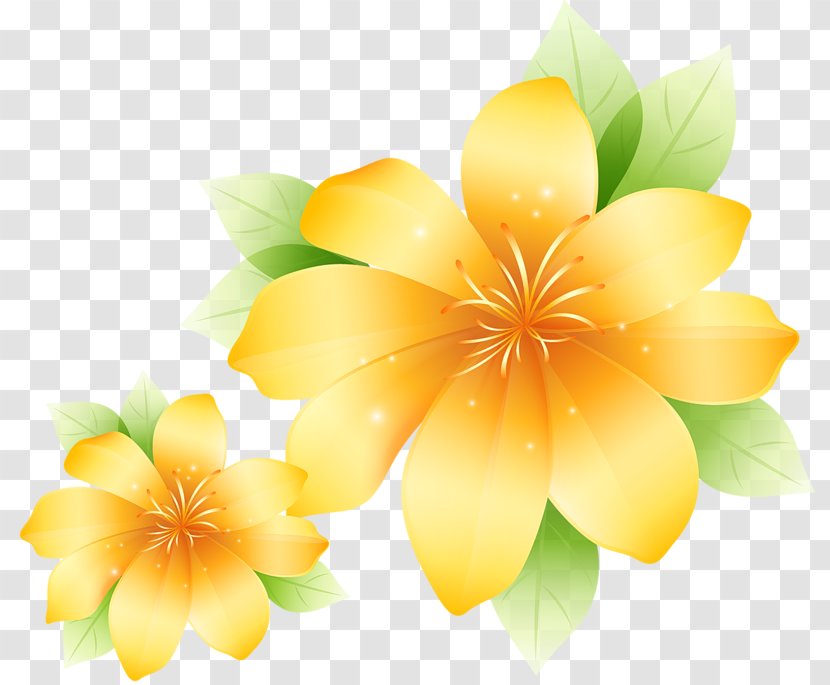 Flower Yellow Art Painting Poster - Canvas - Large Clipart Transparent PNG