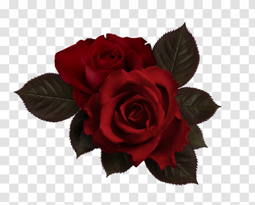 Flower Rose Petal - Bouquet - Bonbones Transparent PNG