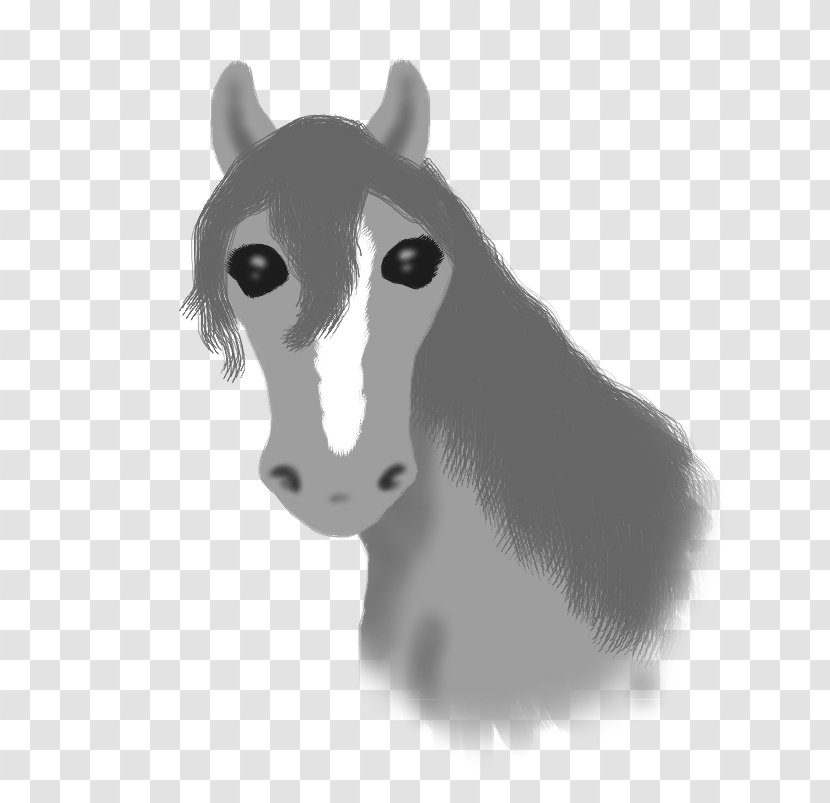 Dog Pony Mustang Mane Snout - Horse Like Mammal Transparent PNG