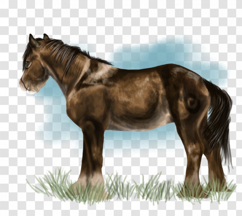 Mustang Mane Mare Stallion Foal - Horse Like Mammal Transparent PNG