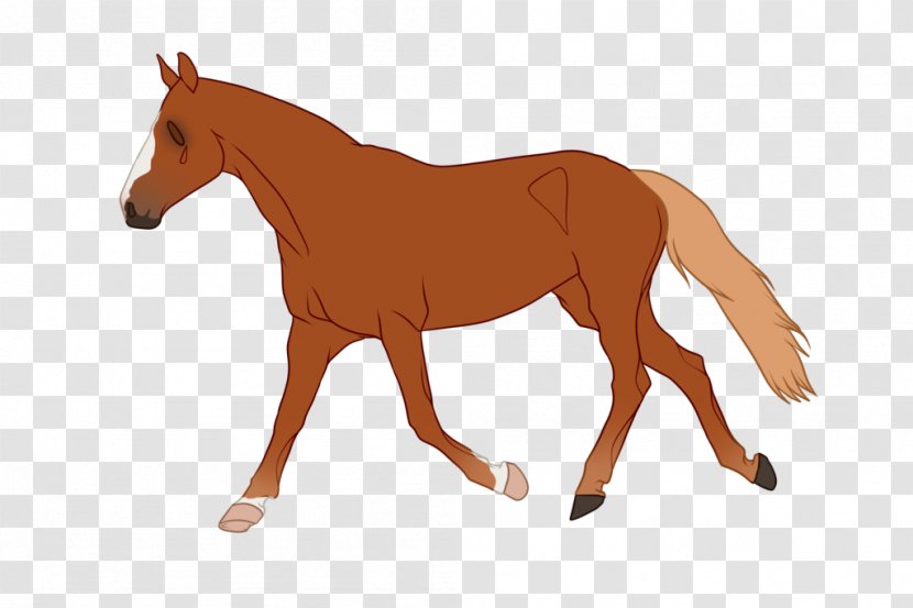 Horse Pony Vector Graphics Stock Photography Illustration - Livestock Transparent PNG