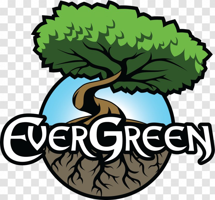 Tree Evergreen Logo Game - Artwork - Nurture Life Transparent PNG