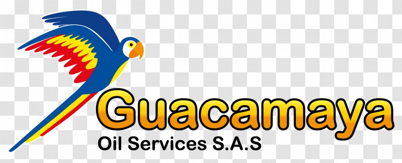 Macaws Beak Corporate Social Responsibility Empresa Service - Area - Guacamaya Transparent PNG