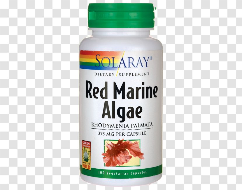 Dietary Supplement Red Algae Capsule Brown - Bladder Wrack Transparent PNG