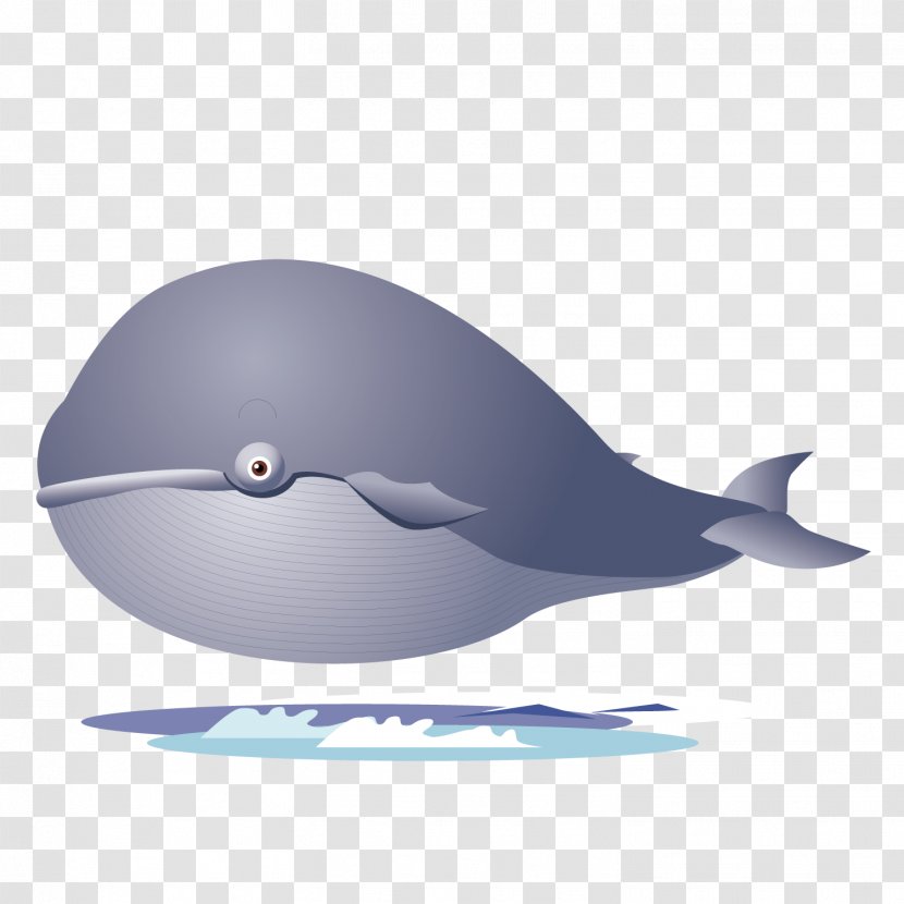 Shark Porpoise Dolphin - Whale - Terrible Transparent PNG