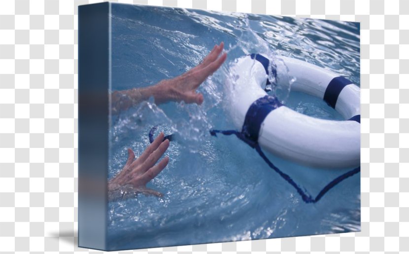 Water Leisure Dolphin Vacation Personal Protective Equipment - Marine Mammal - Life Preserver Transparent PNG