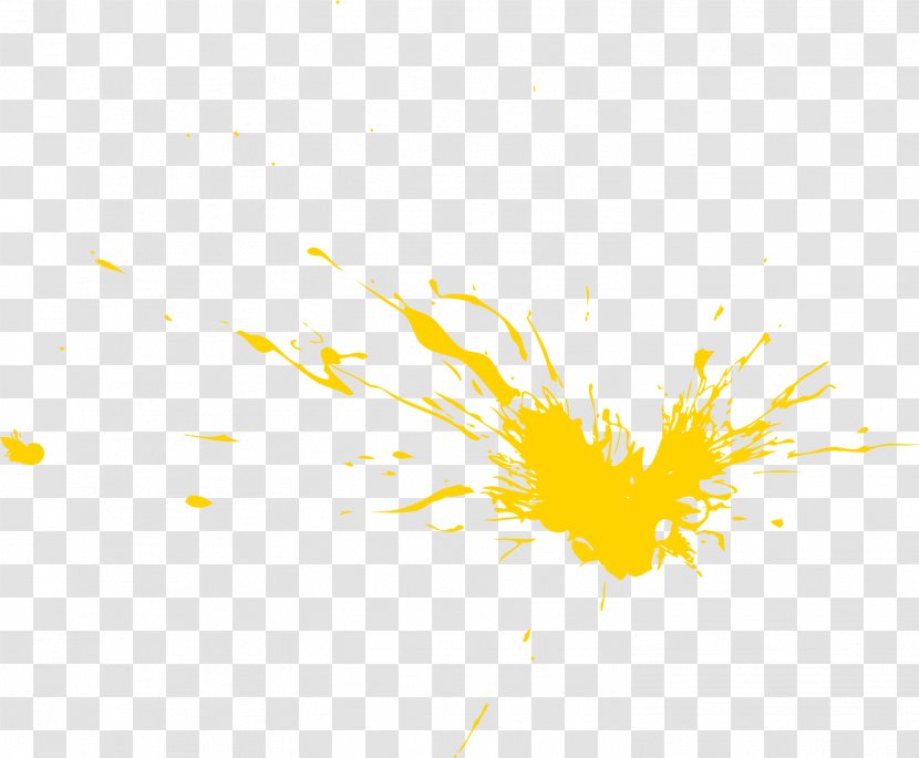 Yellow Splash Watercolor - Text - Wing Transparent PNG