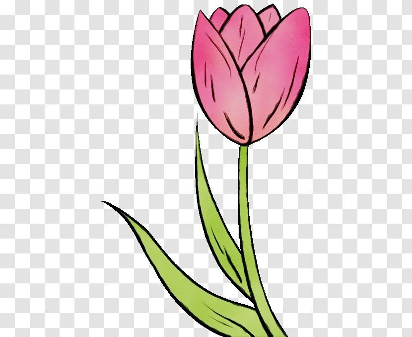 Flowering Plant Flower Tulip Clip Art - Leaf Petal Transparent PNG