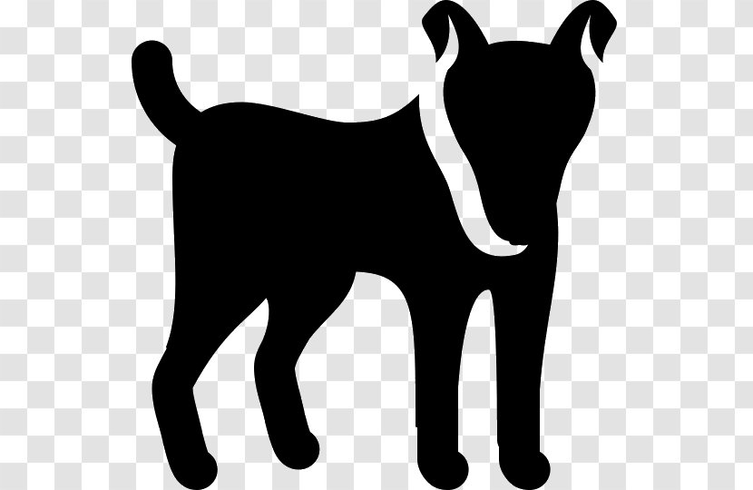 Dog Pet Cat - Black And White Transparent PNG