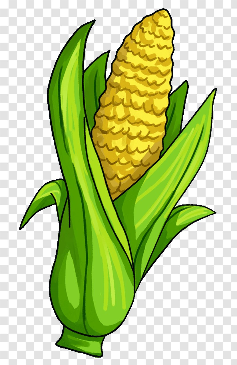 Corn On The Cob Candy Maize Vegetable Clip Art Transparent PNG
