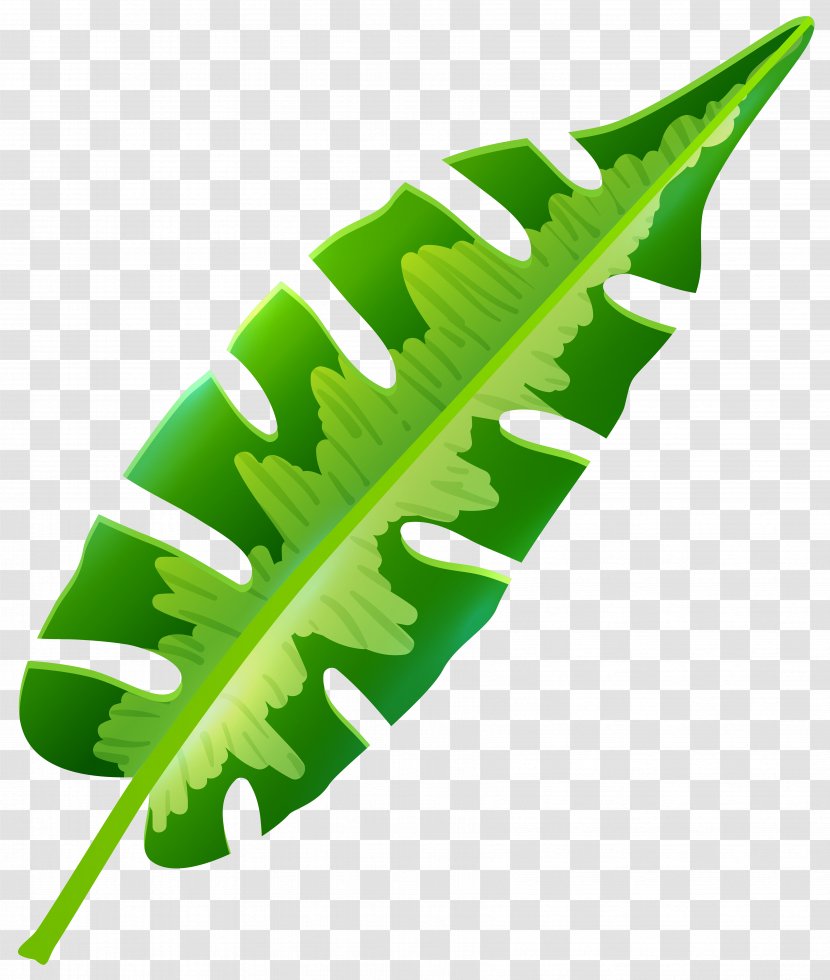 Leaf Tropics Arecaceae Clip Art - Grass - Palm Leaves Transparent PNG