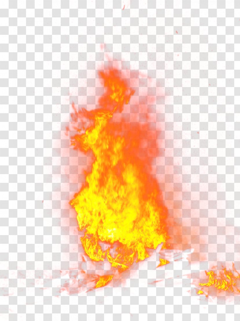 Fire Flame - Flower Transparent PNG