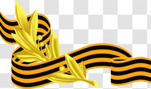 Ribbon Of Saint George Victory Day Georgiy Lentasi Aksiyasi Symbol ÐÐºÑ†Ð¸Ñ - Yellow Transparent PNG