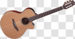 Steel-string Acoustic Guitar Lag Cutaway - Flower Transparent PNG