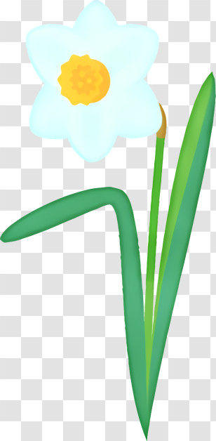 Icon - Single Daffodil Flower Transparent PNG