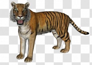 Zoo Tycoon 2 Trinil Tiger Javan Bali - Indochinese Transparent PNG