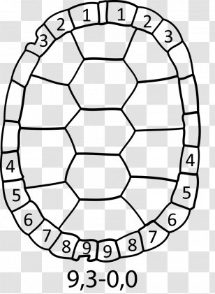 Turtle Shell Drawing Painted Reptile - Abraham AND ISAAC Transparent PNG