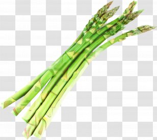 Onion Cartoon - Cream Of Asparagus Soup - Leek Plant Stem Transparent PNG