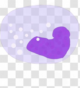 Monocyte Macrophage Dendritic Cell B Clip Art - Alveolar Transparent PNG
