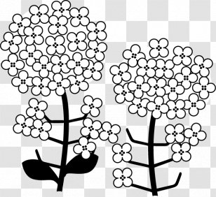 æ²¹èœ Black And White Floral Design Monochrome Painting - Plant - Hydrangea Transparent PNG