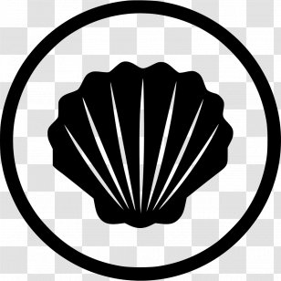 Shellfish Food Allergy Gluten-free Diet - Seafood Transparent PNG