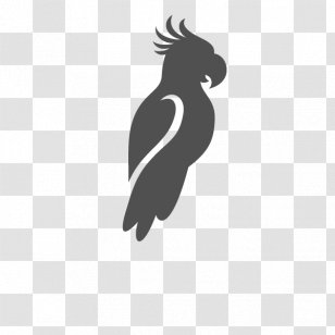 Beak Flightless Bird Logo Silhouette - Black M Transparent PNG