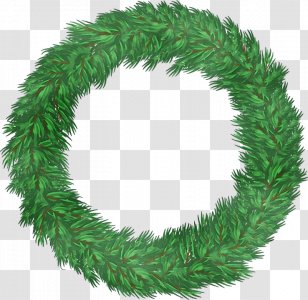 Christmas Decoration - Pine Family - Plant Fir Transparent PNG
