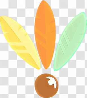 Orange Transparent PNG