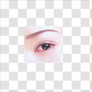 Eyelash Extensions Eyebrow Cheek Beauty Forehead - Flower Transparent PNG