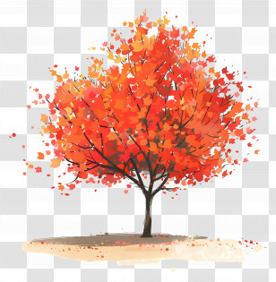 Maple Tree - Autumn Tree With Vibrant Red Leaves Illustration Transparent PNG