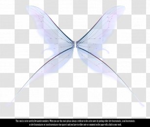 Fairy Butterfly Wing - Information - Wings Transparent PNG
