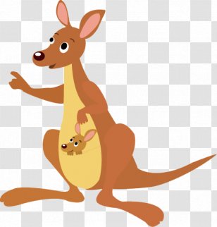 Kangaroo Koala Stock Illustration - Drawing Transparent PNG