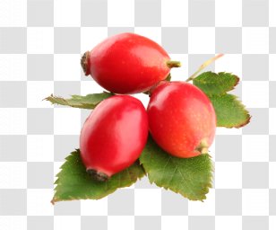 Rose Hip Seed Oil Carrier Food - Vegetable Transparent PNG