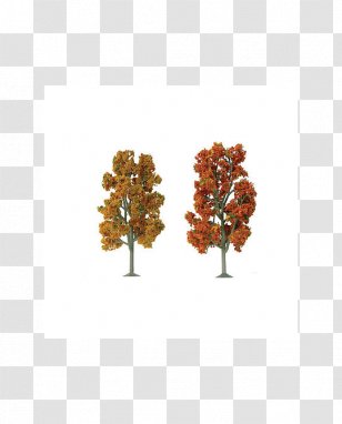 O Scale Tree American Sycamore Pine Autumn - Woodland Scenics Transparent PNG