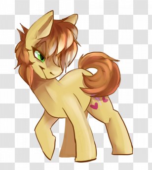 Cat Horse Canidae Dog - Frame Transparent PNG