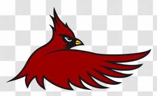 1998 St. Louis Cardinals Season Cardinal Hayes High School Clip Art - Wing Transparent PNG