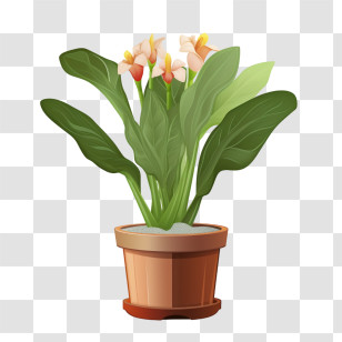 Canna Lilly Plant - Potted Plant With Green Leaves And Flowers Transparent PNG