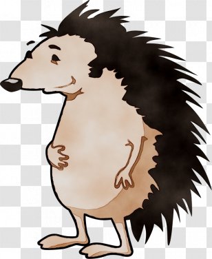 T-shirt Hedgehog CafePress Spreadshirt - Drawing - Animation Transparent PNG
