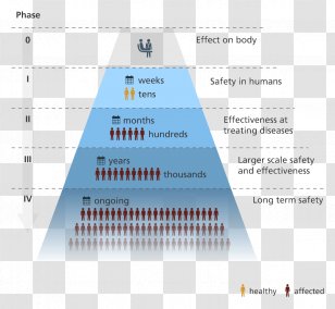 Phases Of Clinical Research Trial Drug Development Pharmaceutical - Brand Transparent PNG