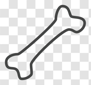Bone Icon - Simple Bone Outline Transparent PNG