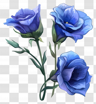 Blue Lisianthus Flower - Beautiful Blue Flower Illustration Transparent PNG